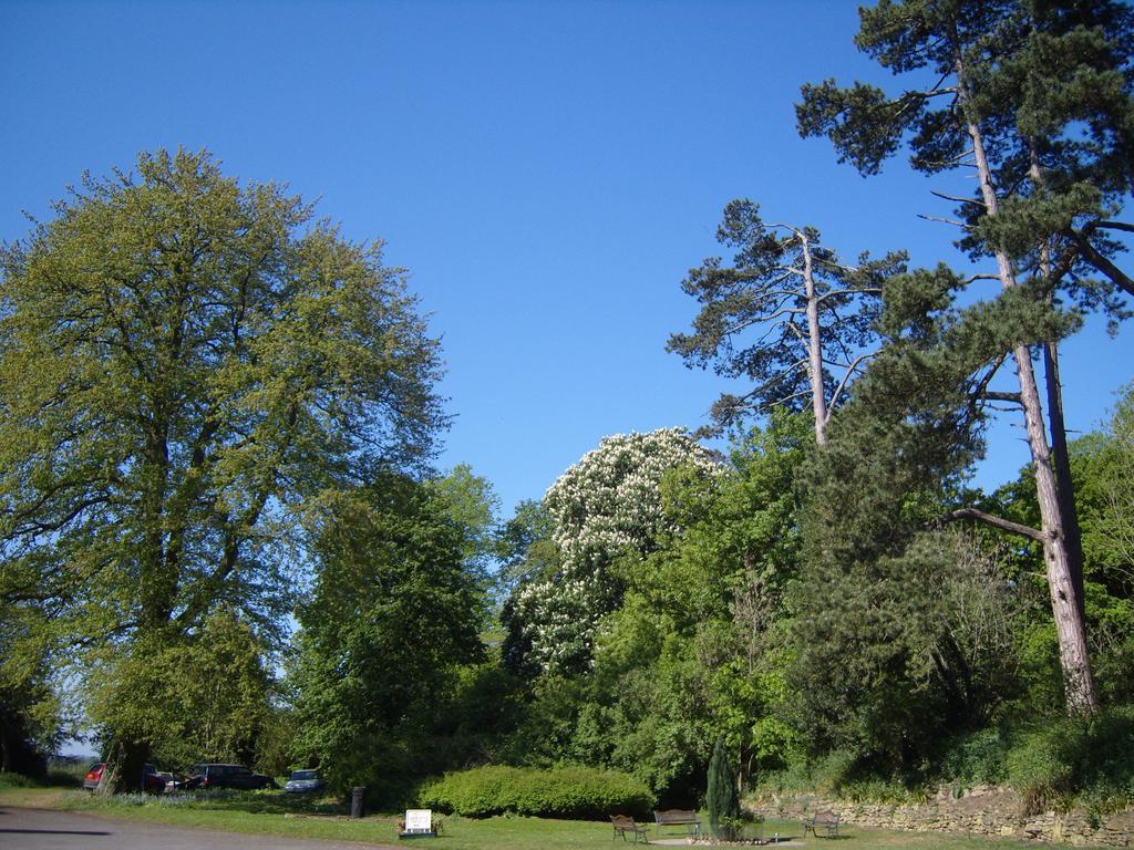 Cleeve House Bed & Breakfast Мелкшам Стая снимка